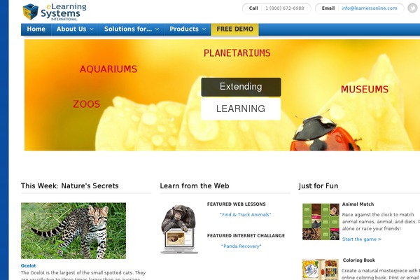 Envision theme site design template sample
