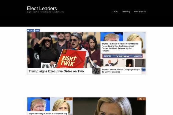 electleaders.com site used Designplus