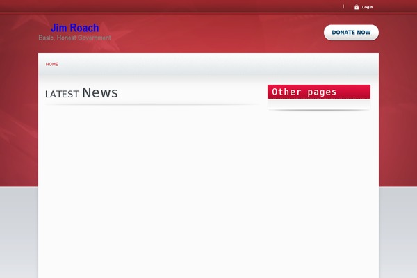 Candidate theme site design template sample