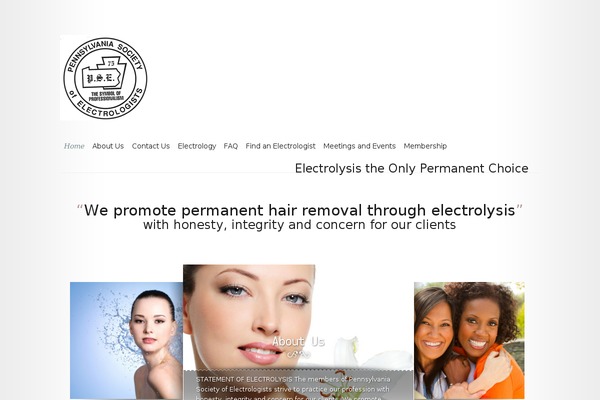 Modest theme site design template sample