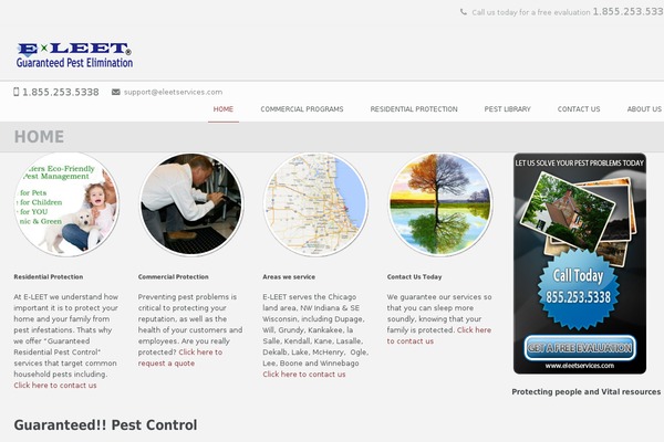 Circles theme site design template sample