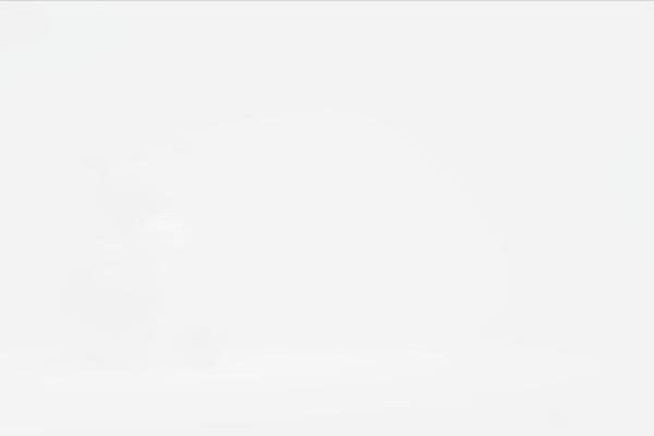Site using Indeed-my-team plugin