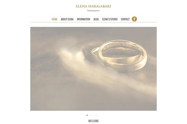 Skyfashion theme site design template sample