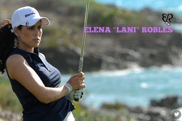 doublewide theme websites examples