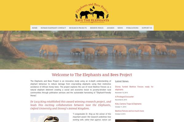 Metrolium theme site design template sample