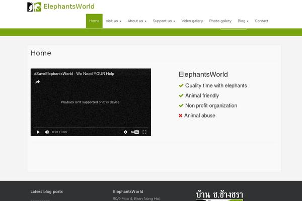 Dazzling Child theme site design template sample