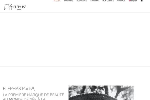 Avada Child theme site design template sample