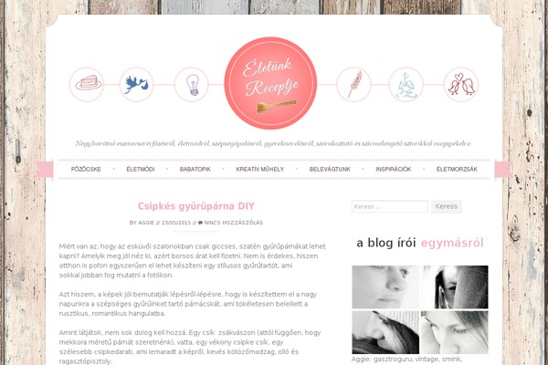 Sugar and Spice theme site design template sample