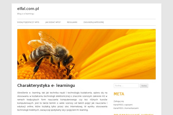 Tiny Forge theme site design template sample