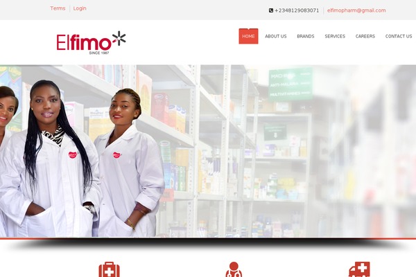 SoulMedic theme site design template sample