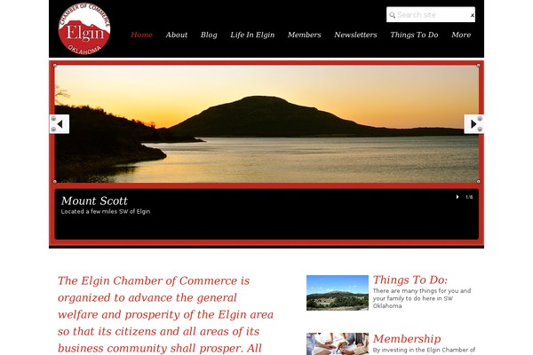 Metrodir theme site design template sample