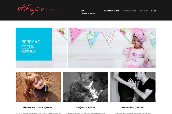Wpex-portafolio theme site design template sample