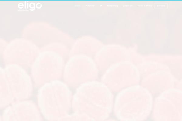 Site using Orbit plugin