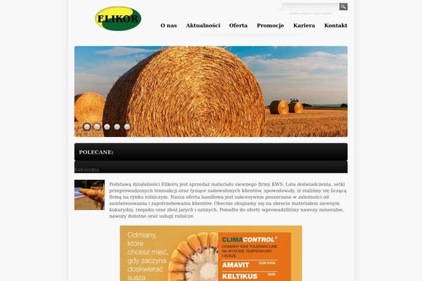 Deluxe theme site design template sample
