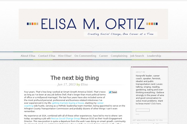 Magnificent theme site design template sample
