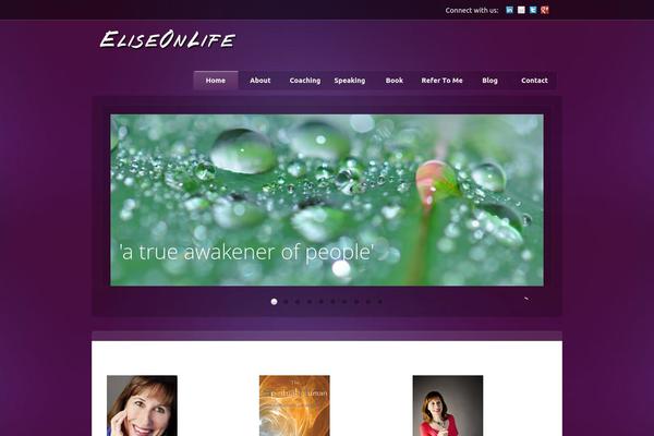Site using Async Social Sharing plugin