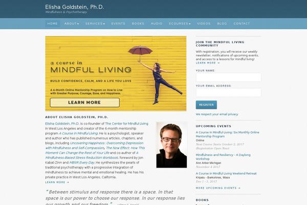 elishagoldstein.com site used Dr-elisha