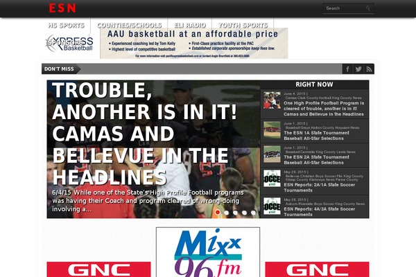 Newsberg theme site design template sample