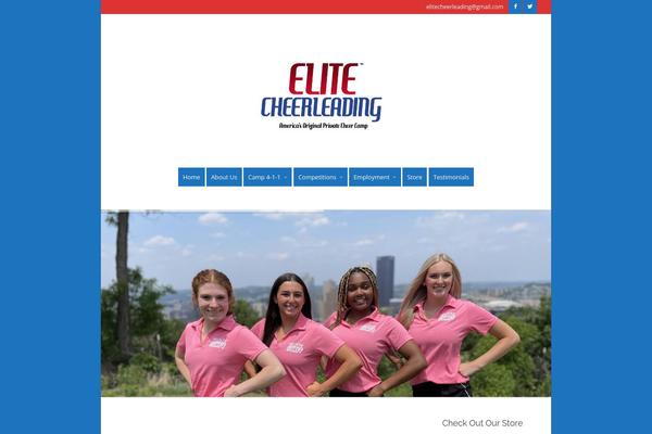 Metrolium theme site design template sample