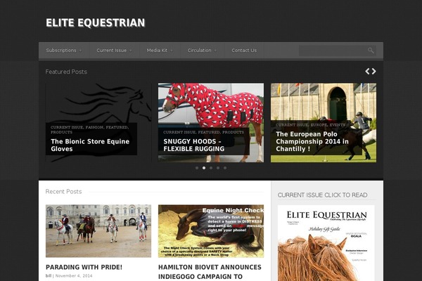 Site using Another WordPress Classifieds Plugin plugin