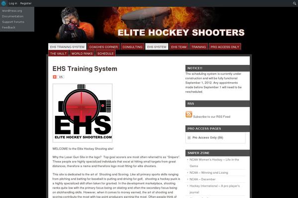 Mainstream theme site design template sample