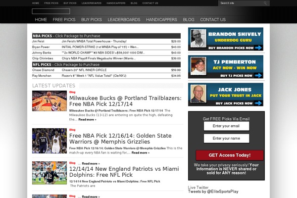 Resportsive theme site design template sample