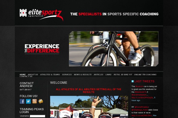 Es theme site design template sample