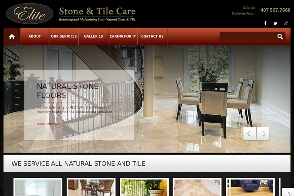 elitestoneandtilecare.com site used Theme46545