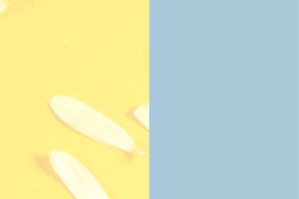 Site using Split-slider plugin