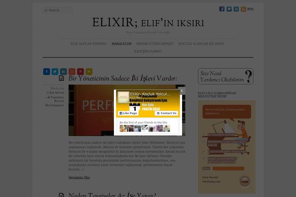 Elemin theme site design template sample