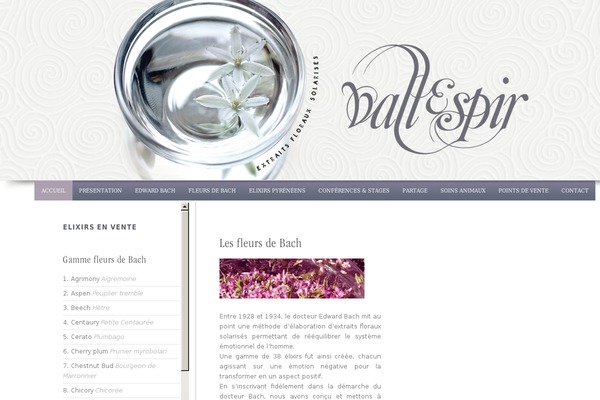 Elessi-theme-child theme site design template sample