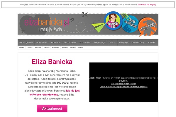 Site using Google AdSense by BestWebSoft plugin