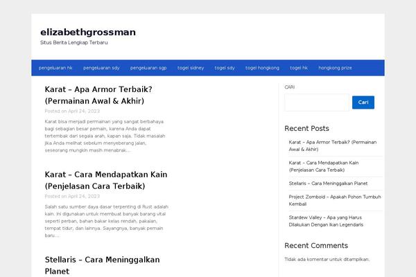 Blogi theme site design template sample