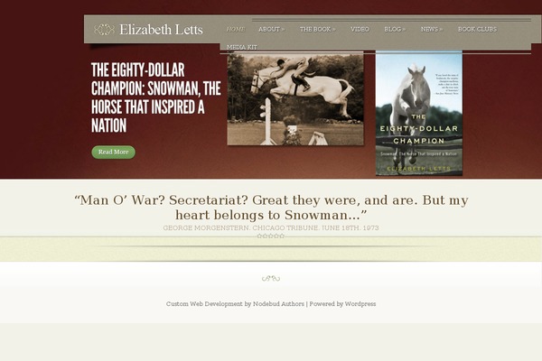 Site using Social Media Widget by Acurax plugin