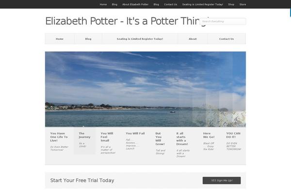 Pitch theme site design template sample