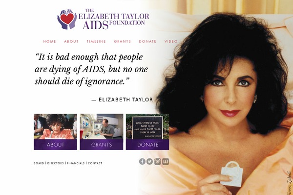 elizabethtayloraidsfoundation.org site used Etaf