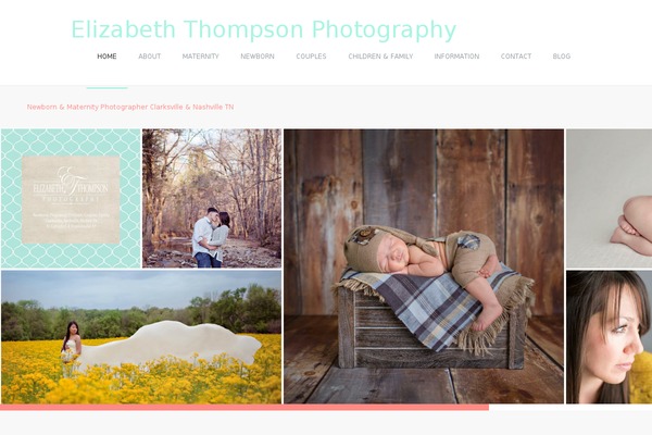 Almera theme site design template sample