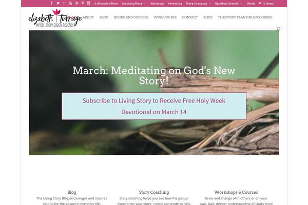 Site using Divi-bars plugin