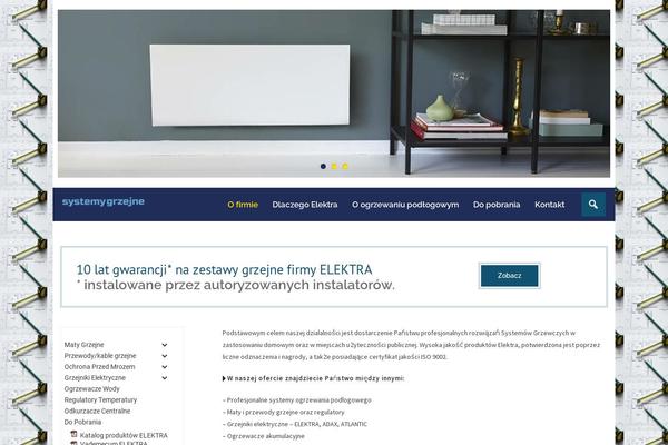 Experon theme site design template sample