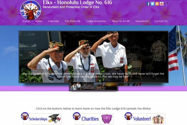 elkslodge616.org site used Striking