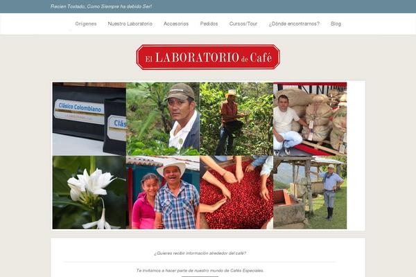 Site using Simple Follow Me Social Buttons Widget plugin
