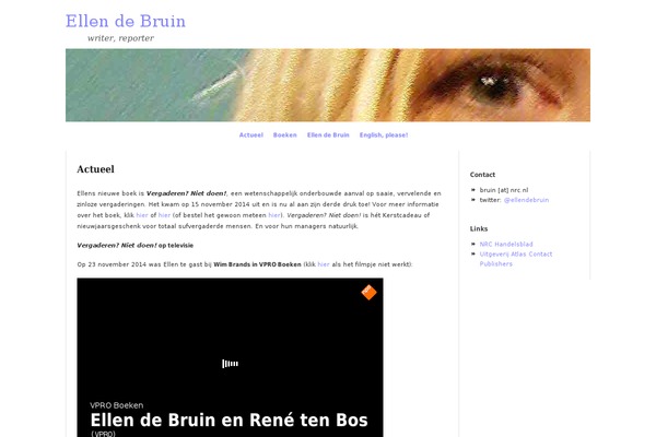 SubtleFlux theme site design template sample