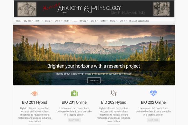 evolve theme site design template sample