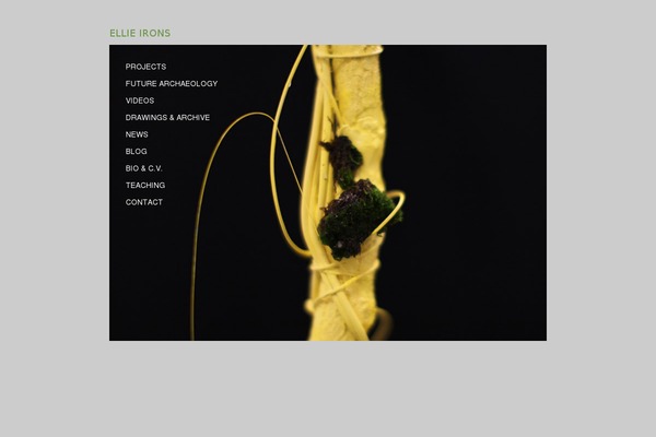 ellieirons.com site used Phragmites