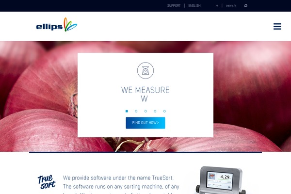 Stuurlui theme site design template sample