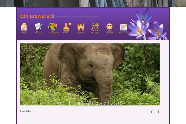 Veritas theme site design template sample