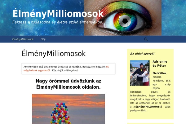 Twenty Thirteen theme site design template sample