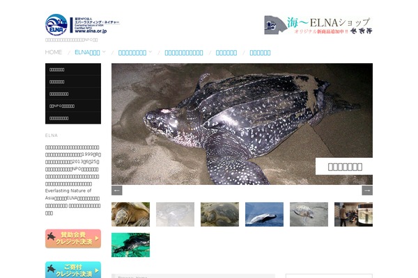 Oxygen theme site design template sample