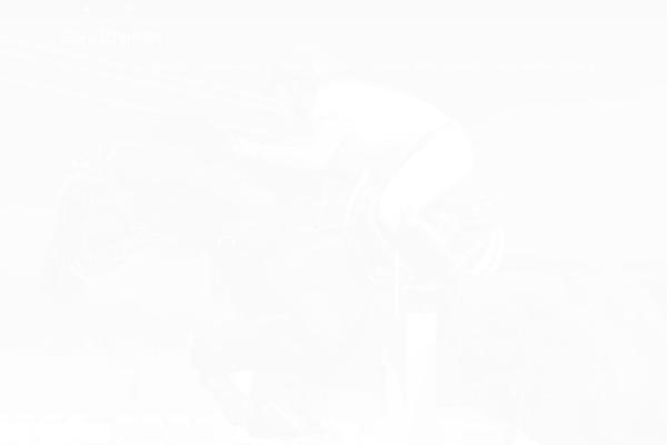 Horseclub theme site design template sample