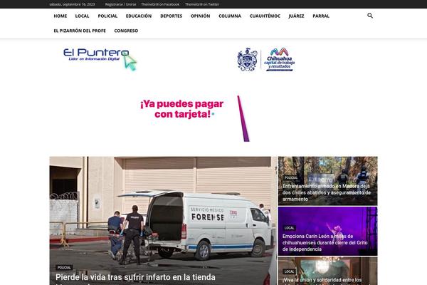 Site using Wp-tiktok-feed plugin